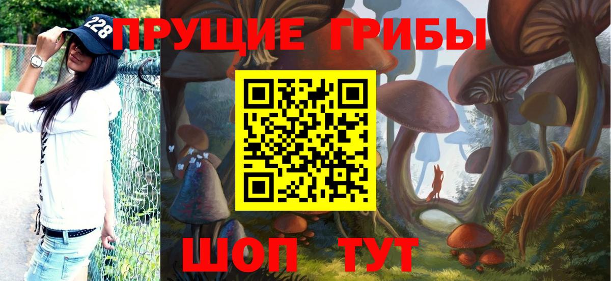 Псилоцибиновые грибы Cubensis  Вход с VPN  Наро-Фоминск  Галлюциногенные грибы MAGIC MUSHROOMS 